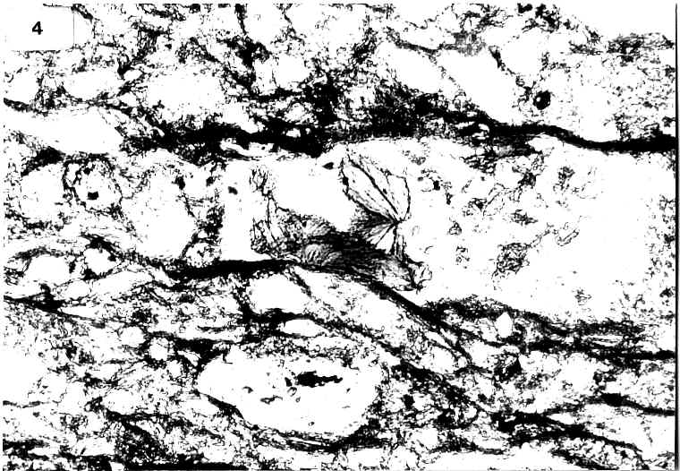 gesprosste Chlorite (?)